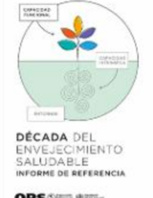 informe de referencia decada