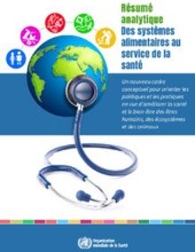Des systèmes alimentaires au service de la santé : résumé analytique