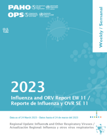 Weekly updates, Influenza Epidemiological Week 11 (24 March 2023)