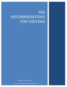 1999-2015-tag-recommendations-for-cholera