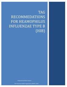 1999-2015-tag-recommendations-for-haemophilus-influenzae-type-b-hib