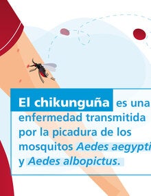 Colección de tarjetas para redes sociales - Chikunguña