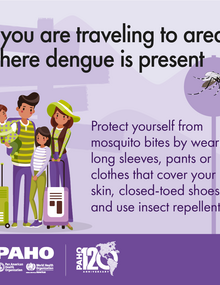 Social media cards collection - Dengue