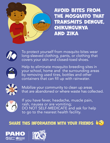 Poster (print): Avoid bites from mosquito that transmits dengue, chikungunya and Zika