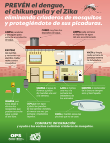 Poster (web): Prevención en el hogar contra el dengue, el chikunguña y el Zika