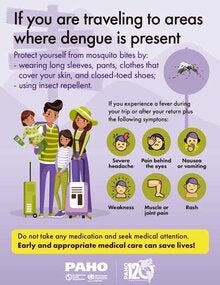 Poster: Traveling to areas where dengue is present?