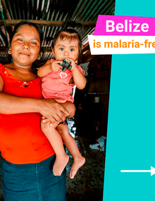 Belize is malaria-free: Carousel 7 postcards
