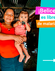 Belice es libre de malaria: Carrusel de 7 tarjetas