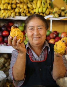 Día Mundial de la Inocuidad de los Alimentos 2023