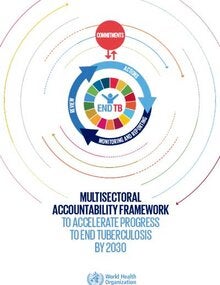 Multisectoral accountability framework to accelerate progress to end tuberculosis by 2030