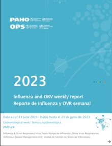 Weekly updates, Influenza Epidemiological Week 24 (23 June 2023)