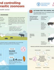 Infographic: Preventing and controlling neglected parasitic zoonoses