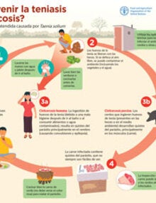 Inforgrafía sobre cómo prevenir la teniasis y la cisticercosis