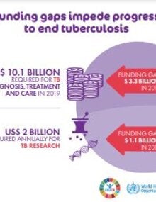 World Tuberculosis Day 2020: WHO infographic (PDF) "Funding gaps impede progress to end tuberculosis
