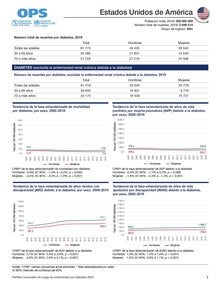 Perfil de carga de enfermedad por diabetes 2023: Estados Unidos de América