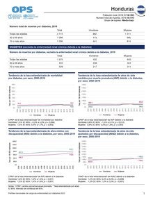 Perfil de carga de enfermedad por diabetes 2023: Honduras