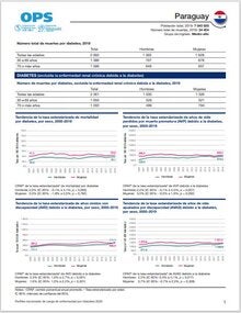 Perfil de carga de enfermedad por diabetes 2023: Paraguay