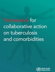 Framework for collaborative action on tuberculosis and comorbidities
