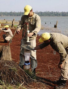 malaria ellimination