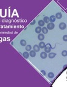 Guía para el diagnóstico y el tratamiento de la enfermedad de Chagas