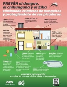 Poster: Prevención en el hogar contra el dengue, el chikunguña y el Zika (versión imprenta)