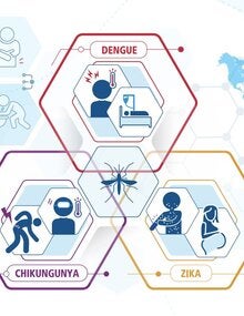 Case definitions, clinical classification, and disease phases Dengue, Chikungunya, and Zika