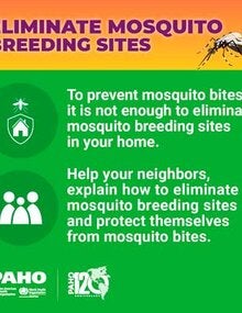 SM postcards collection - Mosquito breeding sites elimination