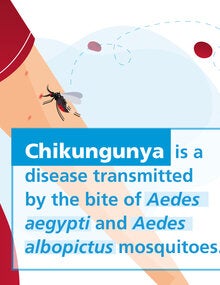 Social media cards collection - Chikungunya