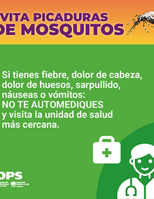 Colección de tarjetas para redes sociales - Evitar picaduras de mosquitos