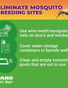 Social media postcards collection - Mosquito breeding sites elimination