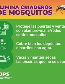 Colección de tarjetas para redes sociales - Eliminar criaderos de mosquitos