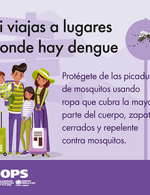 Colección de tarjetas para redes sociales - Consejos para viajeros sobre el dengue