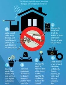 infographic thumbnail detail