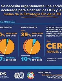 Infografía: Se necesita urgentemente una acción acelerada para alcanzar los ODS y las metas de la Estrategia Fin de la TB