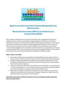 Réunion de haut niveau 2024 sur la résistance aux antimicrobiens (RAM)