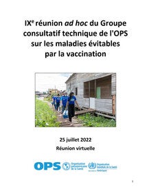 IXe réunion 'ad hoc' du Groupe consultatif technique (GCT)