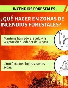 Infografías incendios forestales
