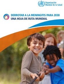 Derrotar a la meningitis para 2030: una hoja de ruta mundial