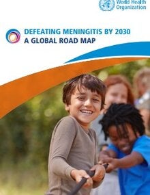 Defeating meningitis by 2030: a global road map