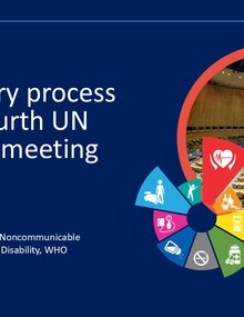 Preparatory process for the Fourth UN high-level meeting on NCDs - Guy Fones