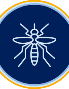 Collection: Mosquito Awareness Week - 2025