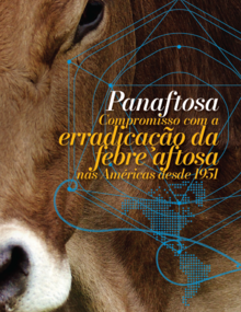 Vaca com o titulo: PANAFTOSA, compromisso com a erradicação da febre aftosa desde 1951