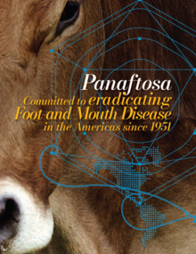 Image of a cow with the tittle PANAFTOSA committed with foot mouth disease in the Americas since 1951