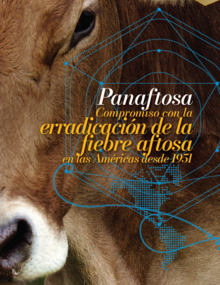 imagen de una vaca con el título: PANAFTOSA compromiso con la erradicación de la fiebre aftosa en las Américas desde 1951