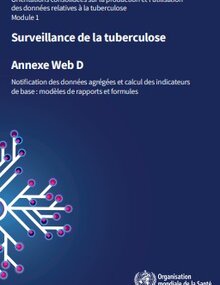 Orientations consolidées sur la production et l'utilisation des données relatives à la TB : module 1 : surveillance de la tuberculose : annexe web D : notification des données agrégées et calcul des indicateurs de base : modèles de rapports et formules