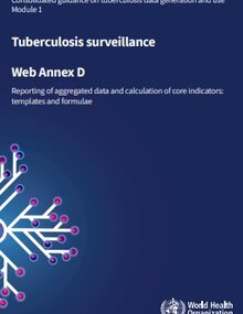 Consolidated guidance on tuberculosis data generation and use: module 1: tuberculosis surveillance: web annex D: reporting of aggregated data and calculation of core indicators: templates and formulae
