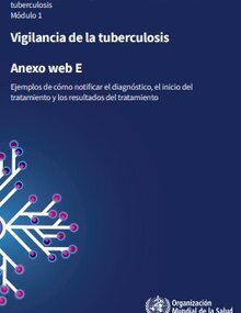 Guía unificada sobre la generación de datos y su uso contra la tuberculosis: módulo 1: vigilancia de la tuberculosis: anexo web E: ejemplos de cómo notificar el diagnóstico, el inicio del tratamiento y los resultados del tratamiento