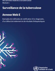 Orientations consolidées sur la production et l'utilisation des données relatives à la TB : module 1 : surveillance de la TB: annexe web E : exemples de méthodes de notification d’un diagnostic, d’un début de traitement et de résultats thérapeutiques