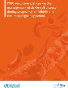 portada WHO guidelines