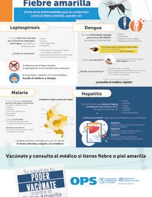 Fiebre amarilla. Entre otras enfermedades que se comportan como la fiebre amarilla